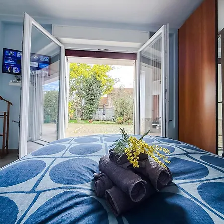 Mimosa Pensionat 3*